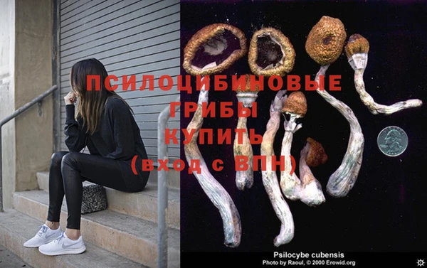 ALPHA-PVP Няндома