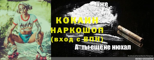 гидра Нязепетровск