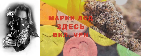 ALPHA-PVP Няндома