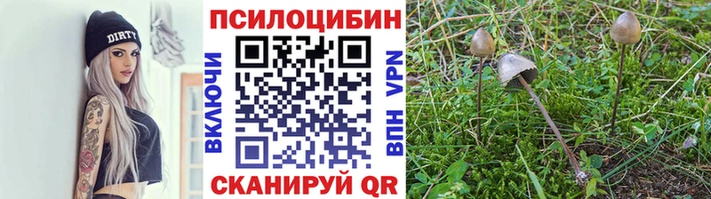 Купить закладки  Пыталово  Галлюциногенные грибы MAGIC MUSHROOMS 